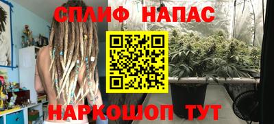 ПСИЛОЦИБИНОВЫЕ ГРИБЫ Бузулук
