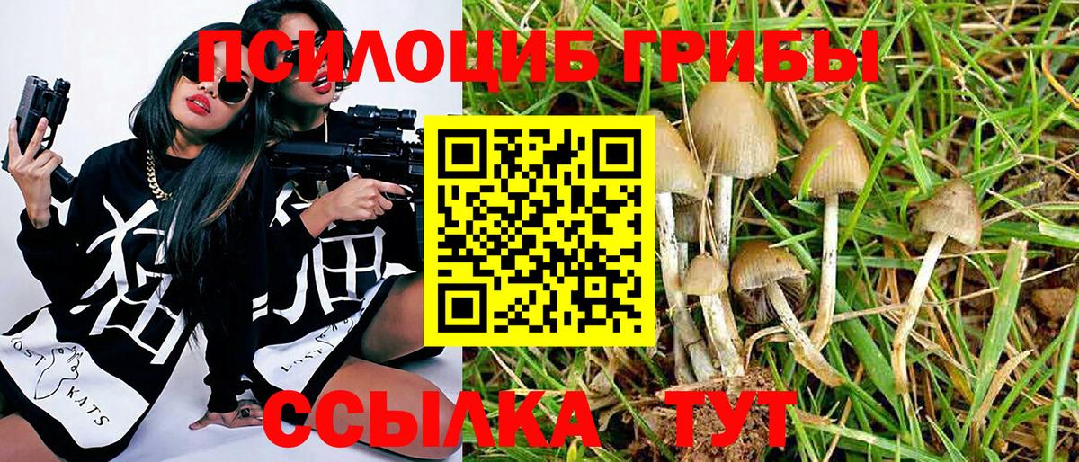 Галлюциногенные грибы мицелий Югорск
